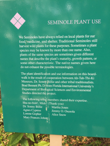 ah tah thi ki museum seminole plant use by Peg Urban