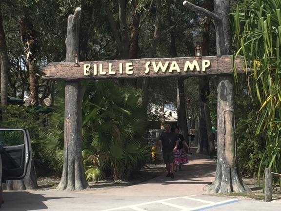 billie swamp by Peg Urban