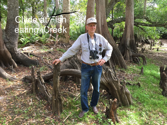 fisheating creek clyde  by Peg Urban