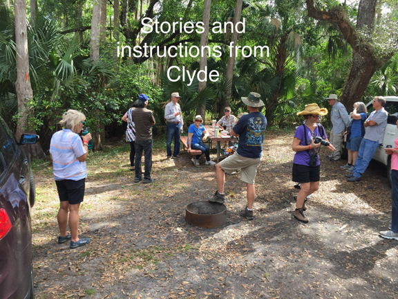 fisheating creek  clyde stories by Peg Urban